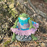 517y-m6Ln9E-channel-avatar-Tattered Frog