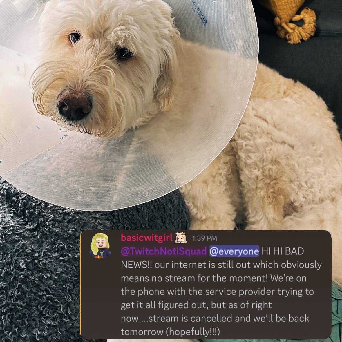 Post from basicwitgirl