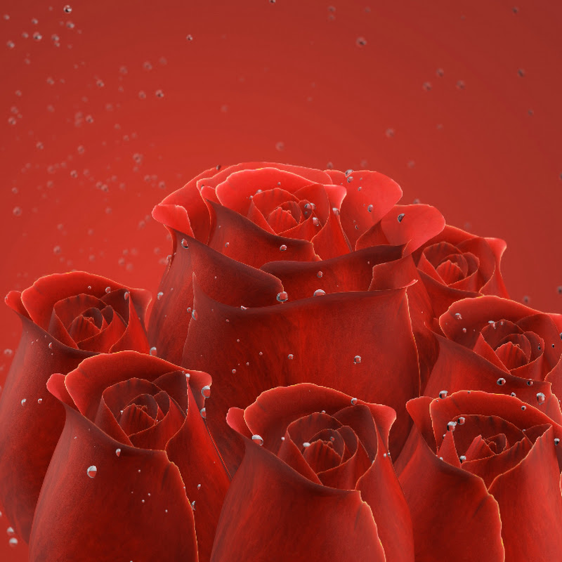 Hire Sarah Husain — Food & Drink YouTube creator for sponsorships