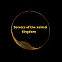 Secrets of the animal kingdom logo