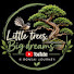 55MKh6CcO-k-channel-avatar-Little trees, Big dreams ~ A Bonsai Journey