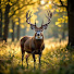 ZSpYgM328Bg-channel-avatar-Quest Outdoors