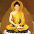 7qmvakDox5U-channel-avatar-Thân Cùi Pắp