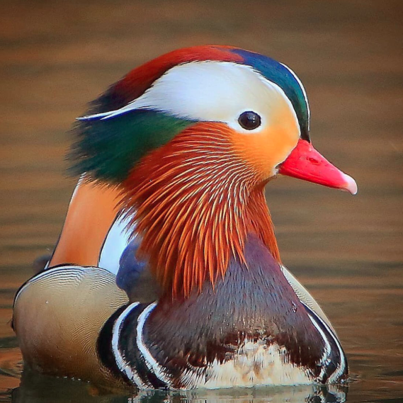 JdWo2jjZI7vVA3-4L0NIzN2XAmI3Vs71vxagN40C