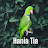 Hania Tia (Parrot)