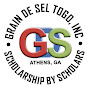 Grain de Sel Togo, Inc logo
