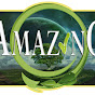 Amazing Food and Wellness logo