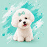 pYeSKIahrDU-channel-avatar-PawMelody