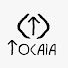 EyzGizMZyG0-channel-avatar-TOCAIA
