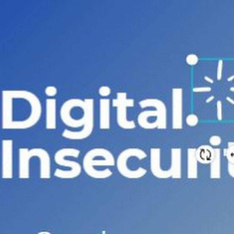 Digital Insecurity