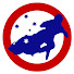 2d8Sep7XvXc-channel-avatar-videoruss