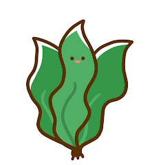 寝起きのわかめ