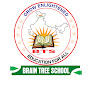 Brain Tree School logo