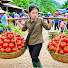 iRToSc-B_cI-channel-avatar-Thuy Thuy Daily