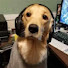 bTGy8lXTKiA-channel-avatar-rocky
