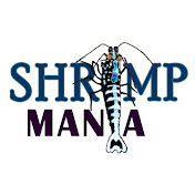 Shrimp Mania