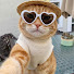 NDgVNE03OJw-channel-avatar-Cat Therapy