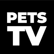 PETS TV - Relaxing tv for pets