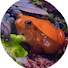bOk-CZvQAUA-channel-avatar-Wonderful World