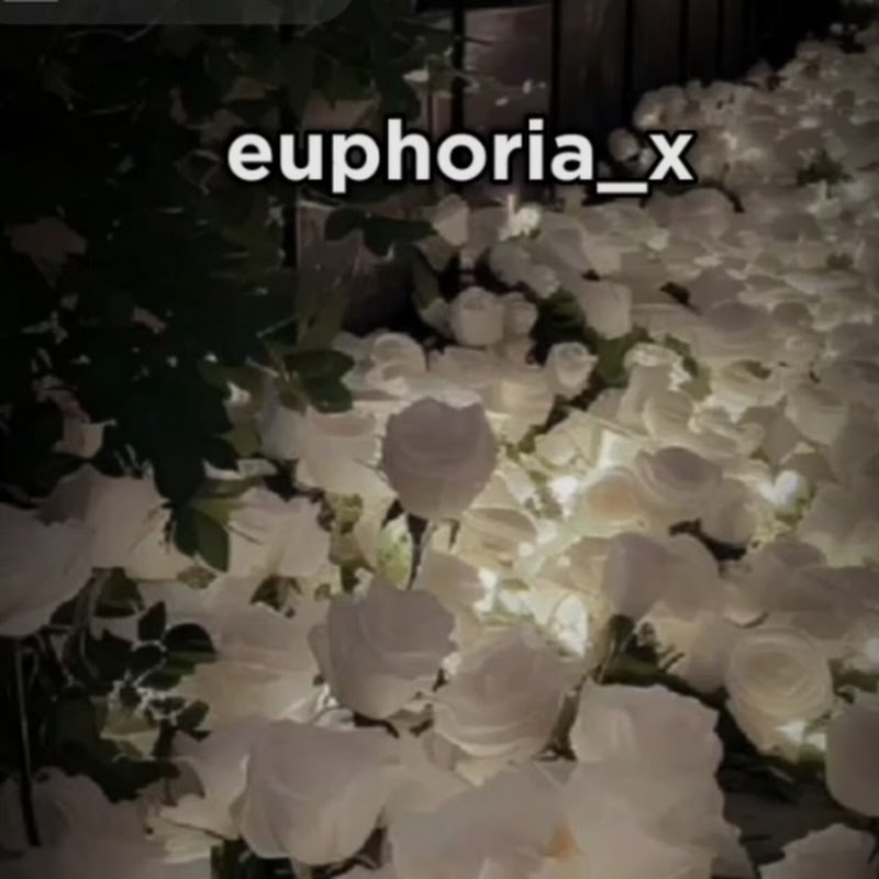 Euphoria__x