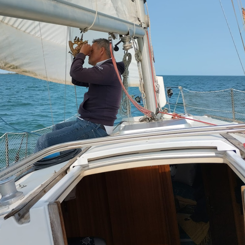 sailingcatxonline