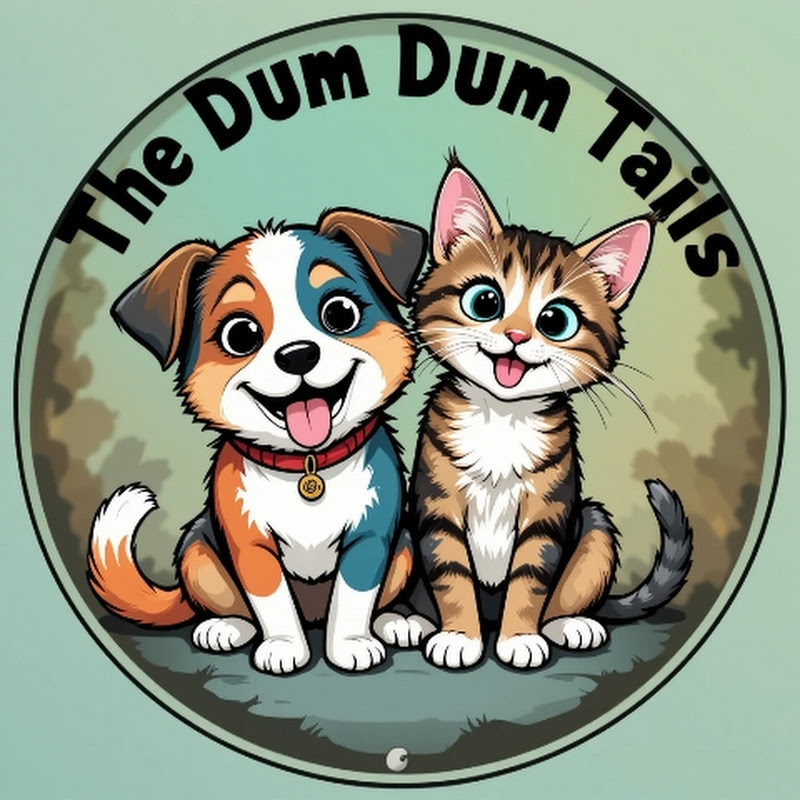 The Dum Dum Tails