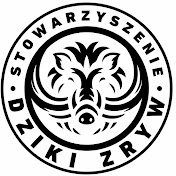 Dziki Zryw TV