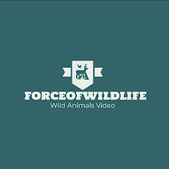 force of wildlife avatar