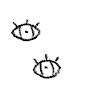 imago meri