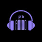 Pro Audio Avatar