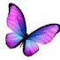 uXAvOrfj5EY-channel-avatar-LJ'sButterflies
