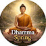 pz2007kF80k-channel-avatar-Dhamma Spring 
