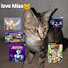 -haxVMOYh9k-channel-avatar-love miao MC nya Hamzah 