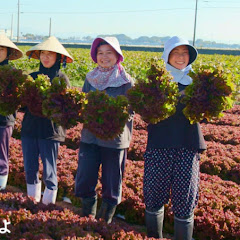 【JA全農ふくれん園芸部】福岡ブランド果物*博多ブランド野菜のご紹介チャンネル