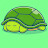 La petite Tortue