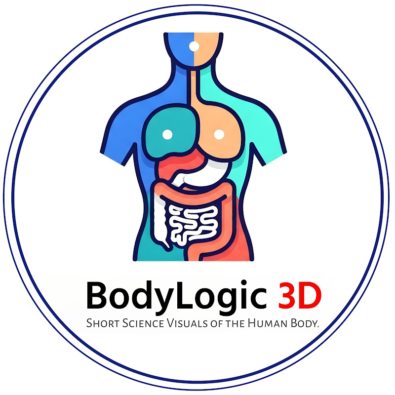 BodyLogic 3D