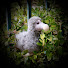 gzSrAthXxrk-channel-avatar-My Marvelous Dodo