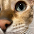 0fHy3ZtbsY4-channel-avatar-Mr Henry Knows
