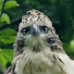 Ty_EjHYgto8-channel-avatar-416kitapapa