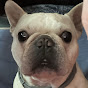 WillySaintWilly Avatar