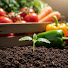 q_zrI8MMuyU-channel-avatar-GrowWise Gardening