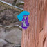 FmX8M-zVg1o-channel-avatar-BDgt