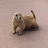 Prairie Dog