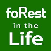 foRest in the Life