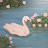 @tasneem4666