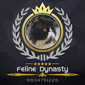 Feline Dynasty