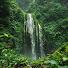 EqnZCSrgNPw-channel-avatar-Nature Sounds Playlist