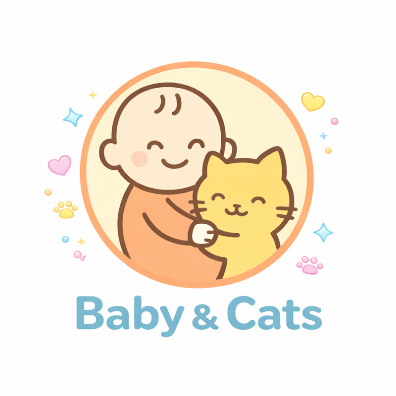 Baby&Cats YouTubeチャンネル画像