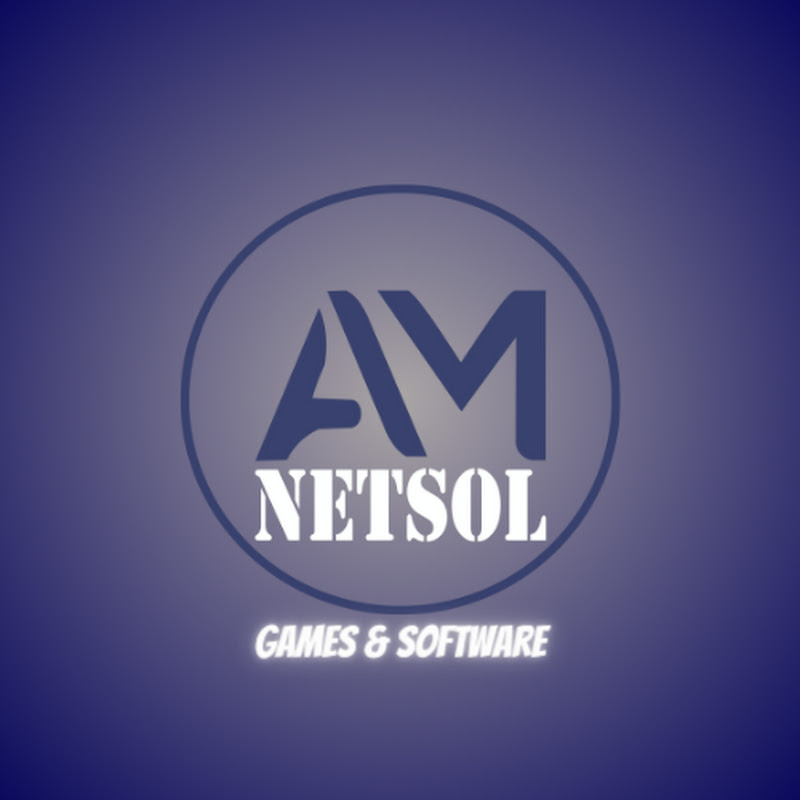 AM NETSOL