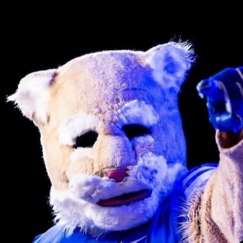 Cosmo Cougar
